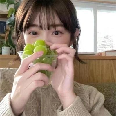 刑事侦缉档案